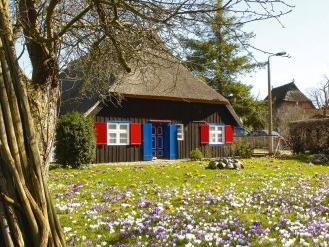 Haus mit Reetdach in Born auf Fischland-Darß-Zingst | Foto: TMV/Grundner